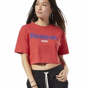 Reebok Training Essentials Linear Logo Crop T Shirt Damen - Rot - DE 715-QXH